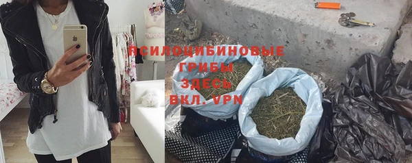 спиды Нея