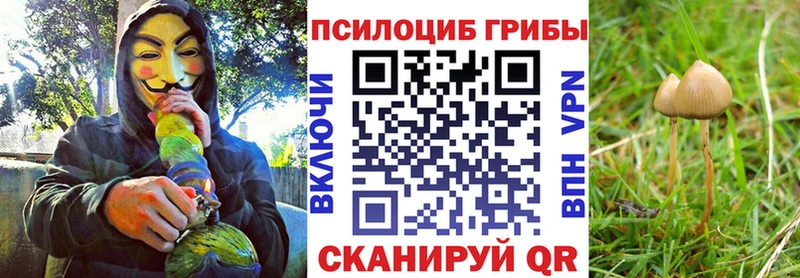 Галлюциногенные грибы Magic Shrooms Лянтор